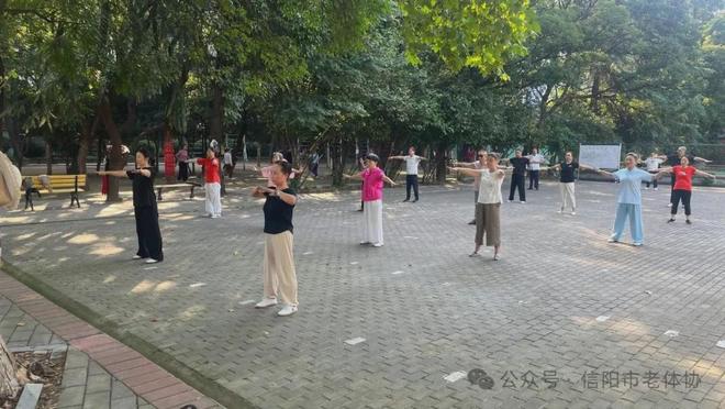 信陽市老體協推出暑期老年人體育活動指南 科學健身助銀齡安度盛夏(圖1)