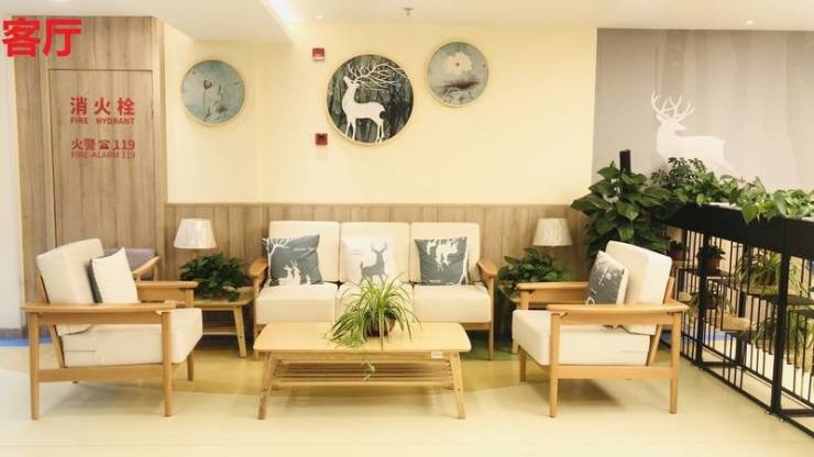 2025 首發!上海浦東新區口碑好、性價比高且針對認知障礙老人的養老院收費與電話查詢秘籍(圖1)