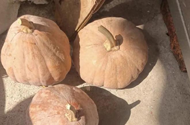 “三高”老人餐餐吃南瓜吃出高血鉀去醫院搶救！(圖1)